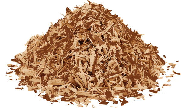 Wood Shavings Pile Isolated on White Background, Natural Sawdust Texture for Carpentry and Woodworking Vector Illustration