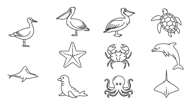 Line Art Marine Animals and Sea Creatures.