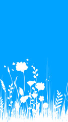 fiori, natura, primavera, campagna, campo di fiori,