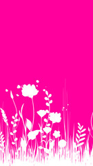 fiori, natura, primavera, campagna, campo di fiori,