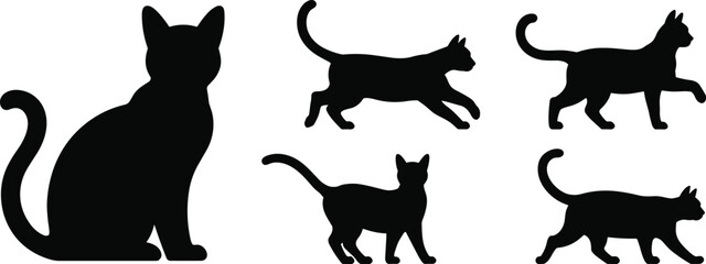 Black cat silhouette collection with sitting and walking poses, domestic feline vector set isolated on white background for design use © Taslima