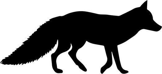 Fototapeta premium Silhouette of a wild fox walking on white background