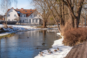 Wiosna w Olsztynie. Rzeka Łyna. © Janusz Lipiński