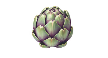 Obraz premium Fresh, vibrant artichoke with detailed green and purple petals on a clean white background.