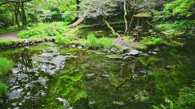 心まで透き通る幻想風景。
「一歩踏み込めば、そこは絵画の世界でした。」
(阿蘇郡産山村)(山吹水源)
A fantastical landscape that penetrates to the soul.
"One step inside and you're transported to a world of painting."