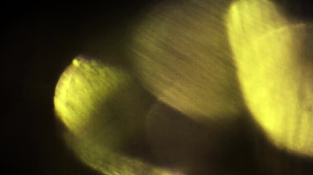 Real Shooted Cinematic Lens Flare Overlay on Black Background at 1000fps Slow Motion.