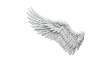 Obraz premium A single elegant white feather wing is prominently displayed against a stark black background, emphasizing its ethereal beauty and detail.