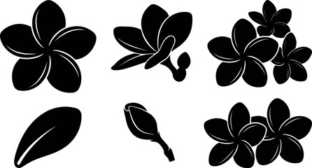 Naklejka premium Minimalist silhouette vector set of plumeria flowers and buds close up top view floral icons black shapes flat collection isolated