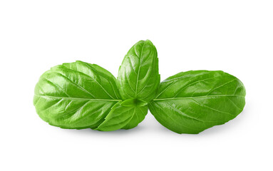 Fototapeta premium Basil leaf isolated on white background. Macro. clipping path