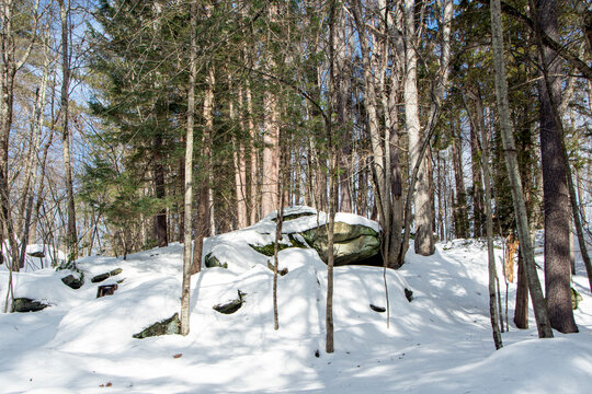 the winter landscape of willard brook state forest