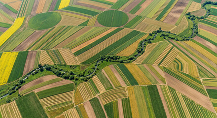 Fototapeta premium Aerial View of Geometric Patterns in Agricultural Fields, Textured Landscape Art