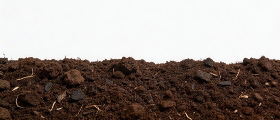 Cross section of rich brown soil isolated on a white background. Gardening and agriculture panoramic banner with copy space