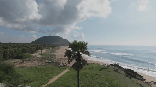 Drone slowly pans right past a foreground palm tree to reveal Rambilli Beach, fishing boats on sand, rocky shore, and a green headland along the Andhra Pradesh coast India.