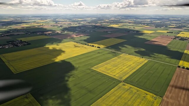 Aerial view of agricultural landscape with vibrant yellow and green fields, showcasing distinct crop patterns and shadows cast by clouds in the sky above