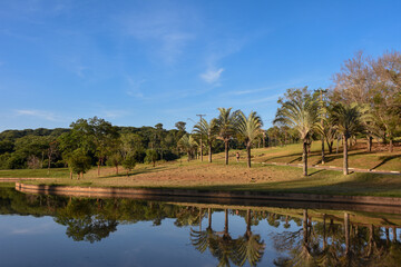 Obraz premium Summer in park