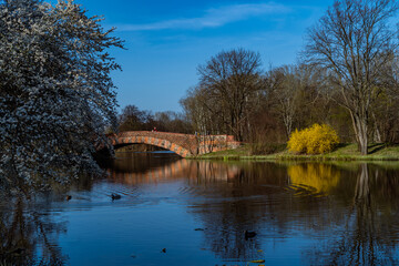 Bridge over the river. Spring landscape with blooming trees and blue sky.