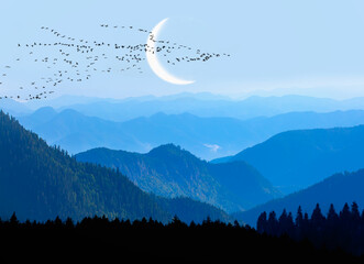 Fototapety na wymiar - Fototapeta24.pl