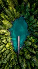 Fototapeta premium Turquoise Lake Pier Surrounded by Dense Forest Aerial View