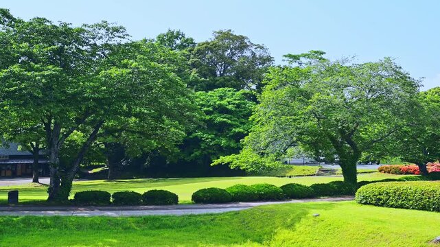 日本の原風景：
「墳丘を覆う巨大な樟（クスノキ）と虚空蔵塚古墳の絶景」
玉名市
Pristine Japanese Landscape:
"The Magnificent View of the Kokuzozuka Tomb and the Giant Camphor Trees Covering the Mound"
Tamana City
