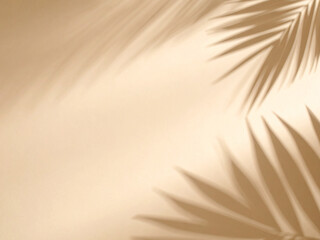 Fototapeta premium 야자수 그림자