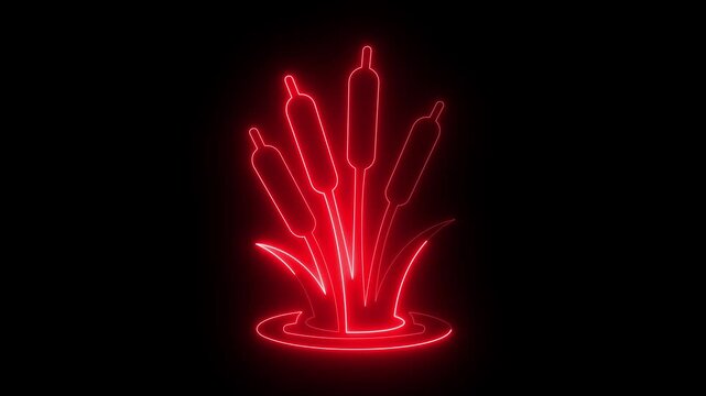 glowing neon Wetland Grass and cattail plant Icon isolated on black background. Cattail reed plant wetland nature icon, perfect for nature or landscape designs. 4k video animation.