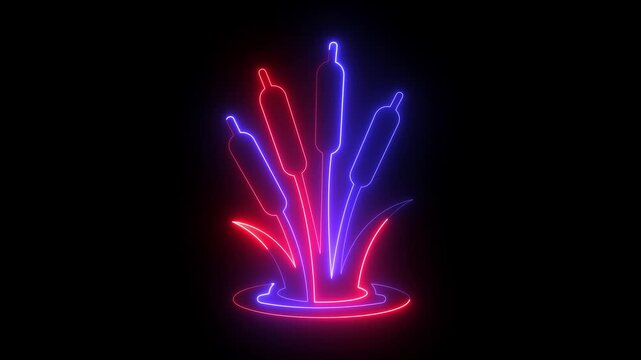 glowing neon Wetland Grass and cattail plant Icon isolated on black background. Cattail reed plant wetland nature icon, perfect for nature or landscape designs. 4k video animation.