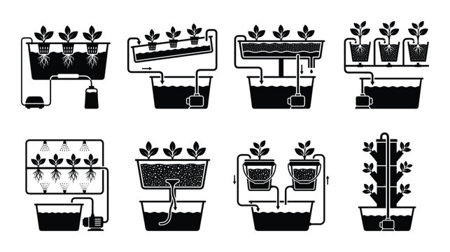 Hydroponic system diagrams showing different plant growth methods