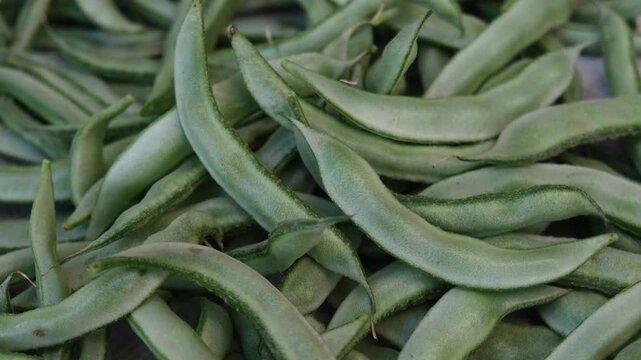 Close-up of a pile of fresh green flat beans or hyacinth beans harvested from a farm