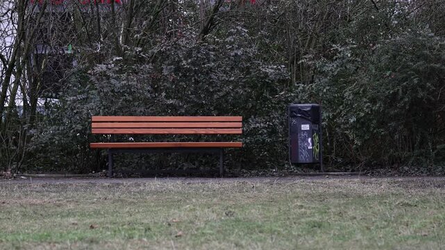 Berlin city park with one bench and one trash can, with green background and grass in the foreground under cloudy daylight.