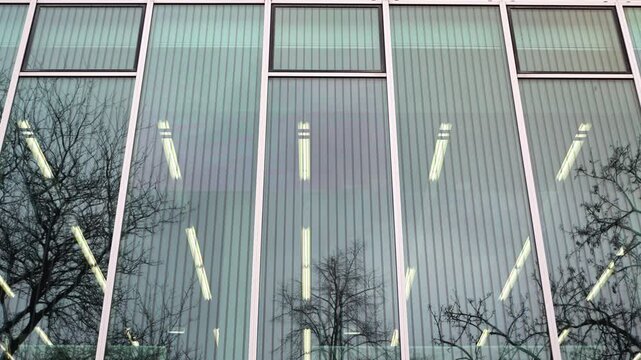 Glassfront showed from the front and an under view with ceiling lamps inside, reflecting the sky and trees.