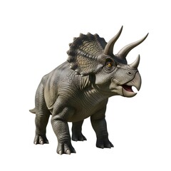 Obraz premium Triceratops isolated on white background