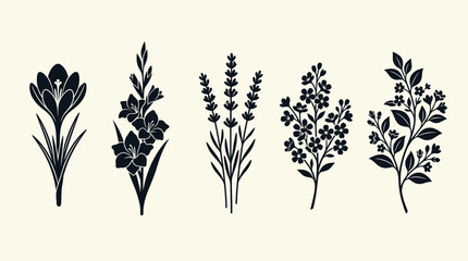 Fototapeta premium Minimalist Botanical Floral Silhouettes Vector Set