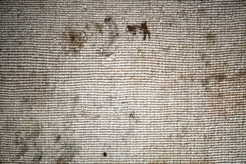 Dirty rug with cat hair and dust in rug. Dirty rug or carpet texture background. The concept of how...
