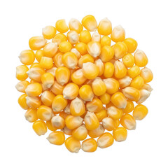 Fototapeta premium A tightly packed circular arrangement of vibrant yellow popcorn kernels isolated on transparent background high quality