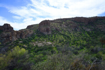 Fototapeta premium West Border of Tonto National Forest Sonoran Desert Arizona