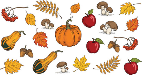 Hand Drawn Autumn Vector Set with Pumpkins, Squash, Red Apples, Forest Mushrooms, and Colorful Fall Leaves for Thanksgiving Greeting Cards and Seasonal Harvest Decorations © MstRakha