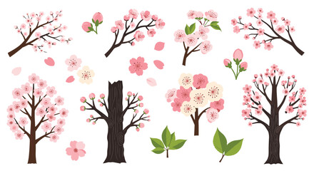 Obraz premium Beautiful Cherry Blossom Trees and Branches with Falling Petals in Spring Season