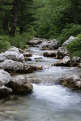 Serene mountain stream flowing through rocky forest landscape