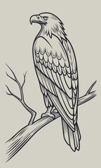 Obraz premium Majestic Eagle Perched on a Branch.