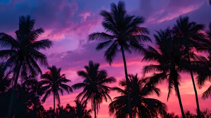 Tropical sunset with colorful sky and silhouetted palm trees