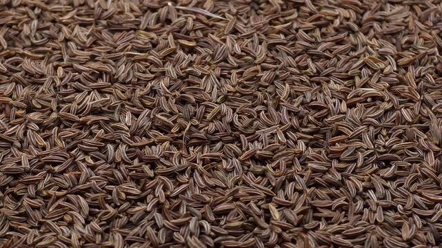 Dried organic caraway seeds texture macro background shot for spices