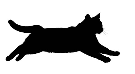 Obraz premium Graceful silhouette of a black cat mid-leap in dynamic motion