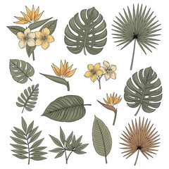 Exotic botanical paradise collection featuring a diverse assortment of lush tropical leaves and vibrant floral elements, perfect for nature-inspired designs and vibrant summer themes © adobe