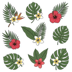Collection of vibrant tropical botanical illustrations featuring various exotic leaves and colorful blossoms perfect for summer designs and lush jungle themes © adobe