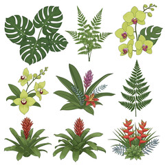 A vibrant and exotic collection of tropical plants and blooming flowers, including monstera leaves, ferns, orchids, and bromeliads, ideal for botanical designs © adobe