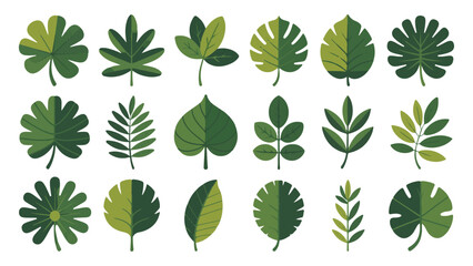 Colorful tropical leaves in shades of green and yellow with texture on white background