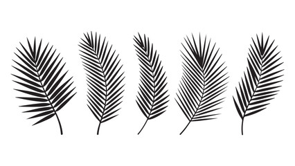 Fototapeta premium Black silhouette palm leaf set isolated on white backdrop tropical foliage vector graphic elements