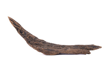Obraz premium dead tree stump with roots and brown trunk Isolated on white background