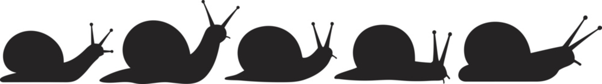 Snail silhouettes collection, black vector illustration, crawling posture variations, antennae detail, nature design, wildlife art, minimalistic style, educational pattern