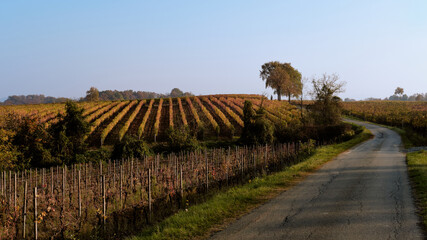 Foto scattata lungo "L'aureliana", la strada che collega Capriata d'Orba con San Cristoforo durante il periodo autunnale. © Diego